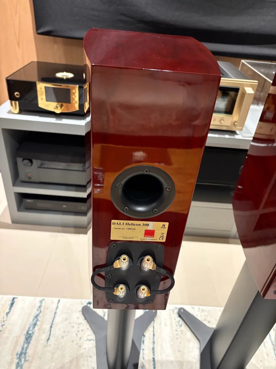 Dali Helicon 300 - Foto 5