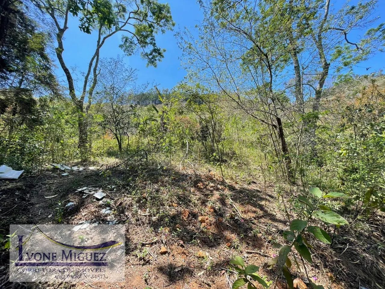 Terreno em Palmares - Paty do Alferes - Foto 3