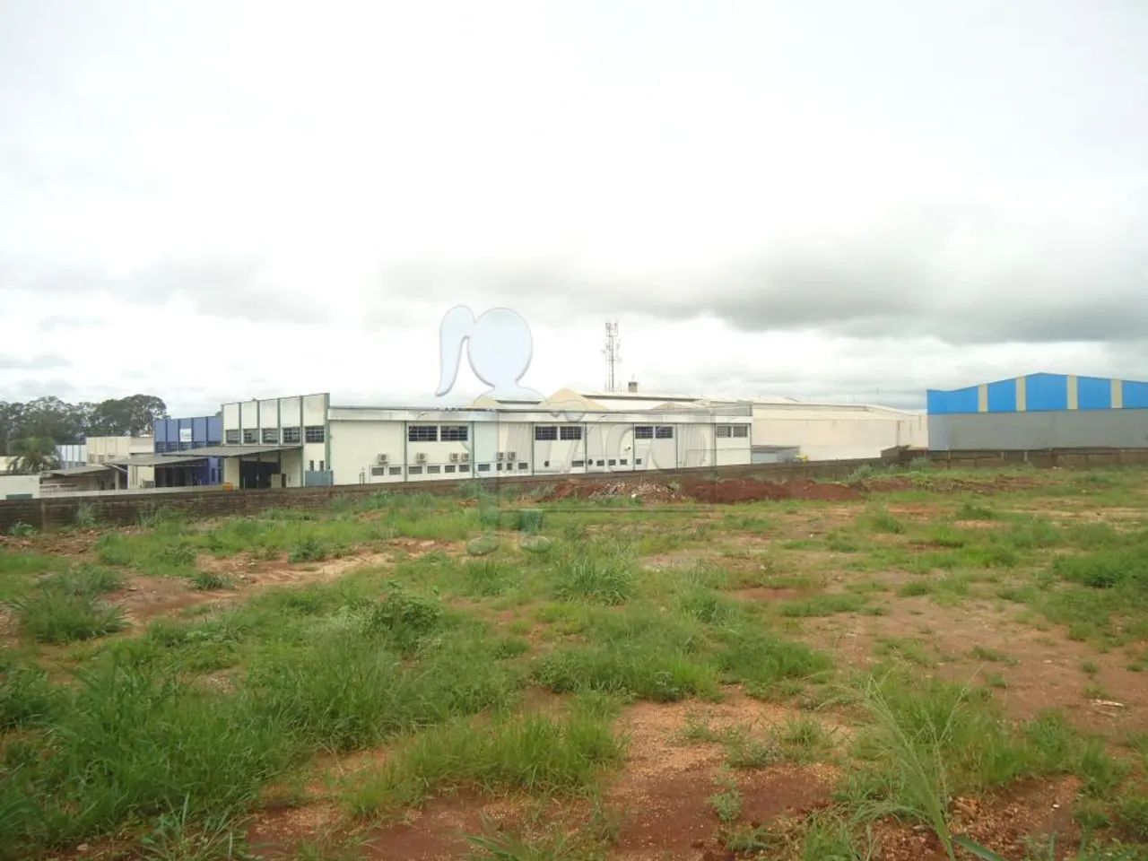 TERRENO NO LAGOINHA - Foto 4