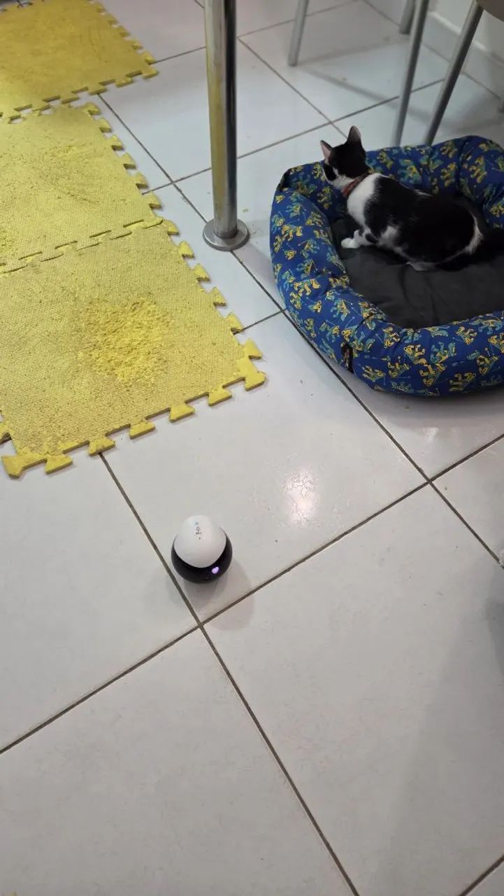 Robor Ebó Se - Foto 5
