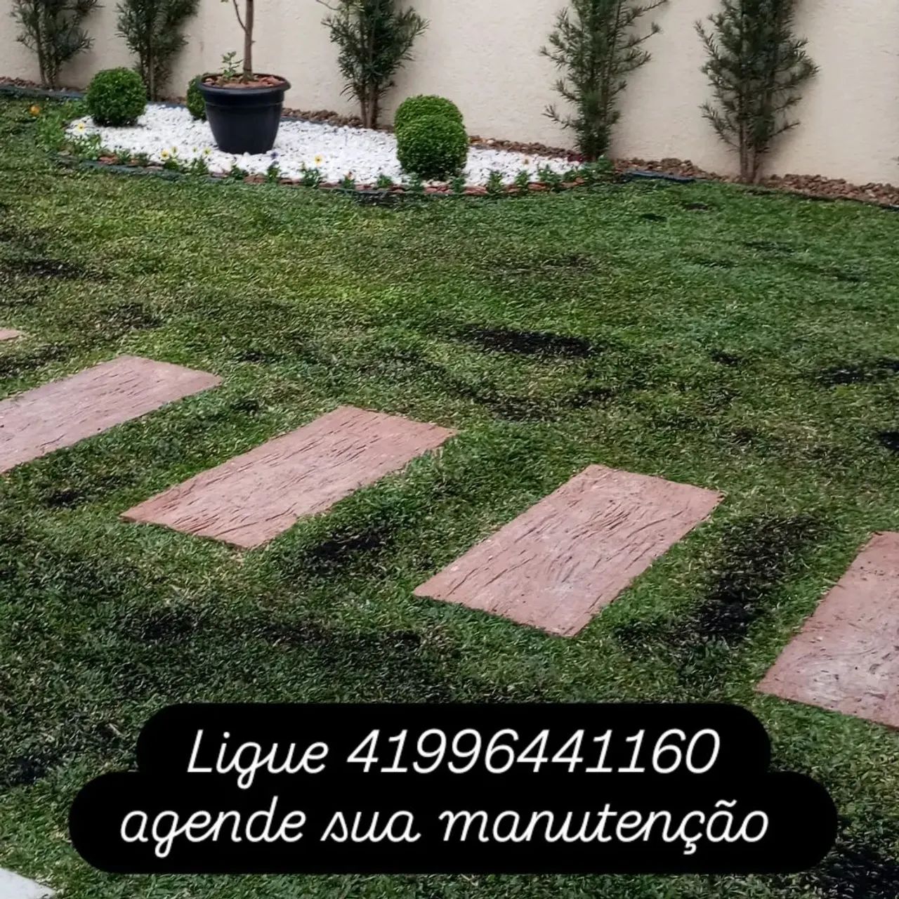 Jardineiro Boqueirão  - Foto 2