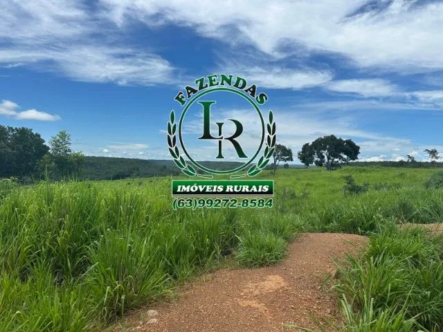 Fazenda 55 Alqueires Dupla Aptidão Próximo a Palmas - Foto 3