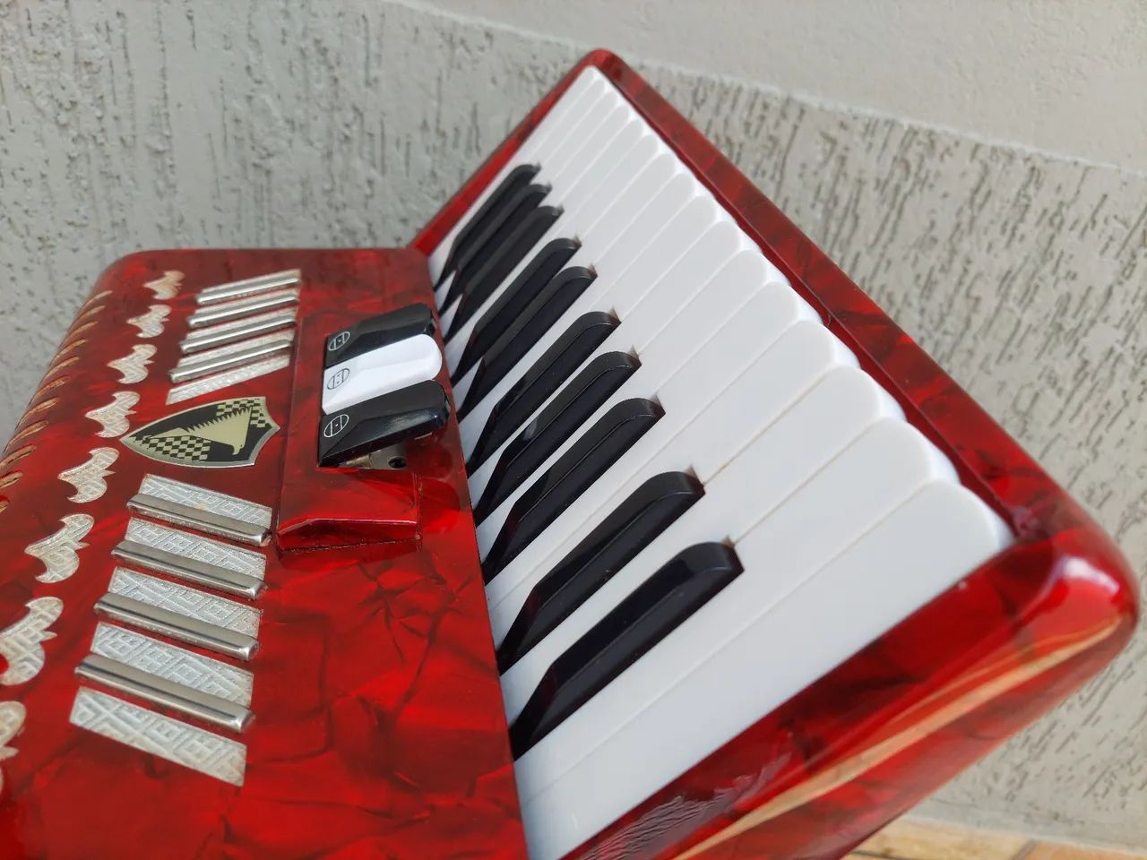Acordeon, Sanfona, Gaita - Foto 2