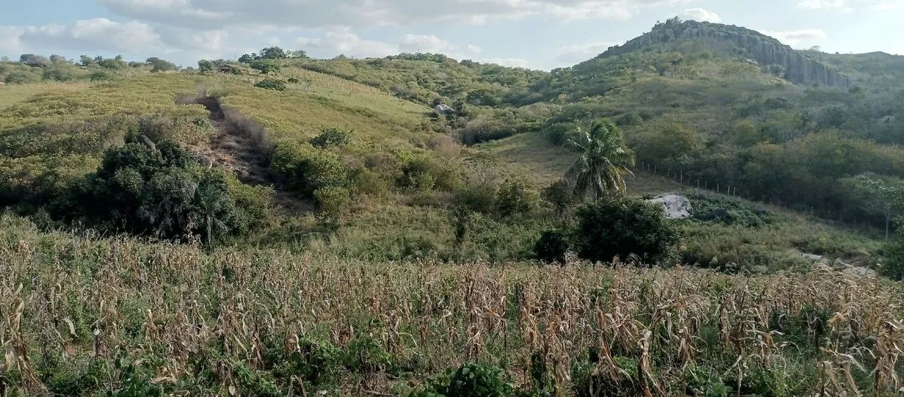 Vende-se terreno próximo à Pedra da Boca - PB - Foto 4