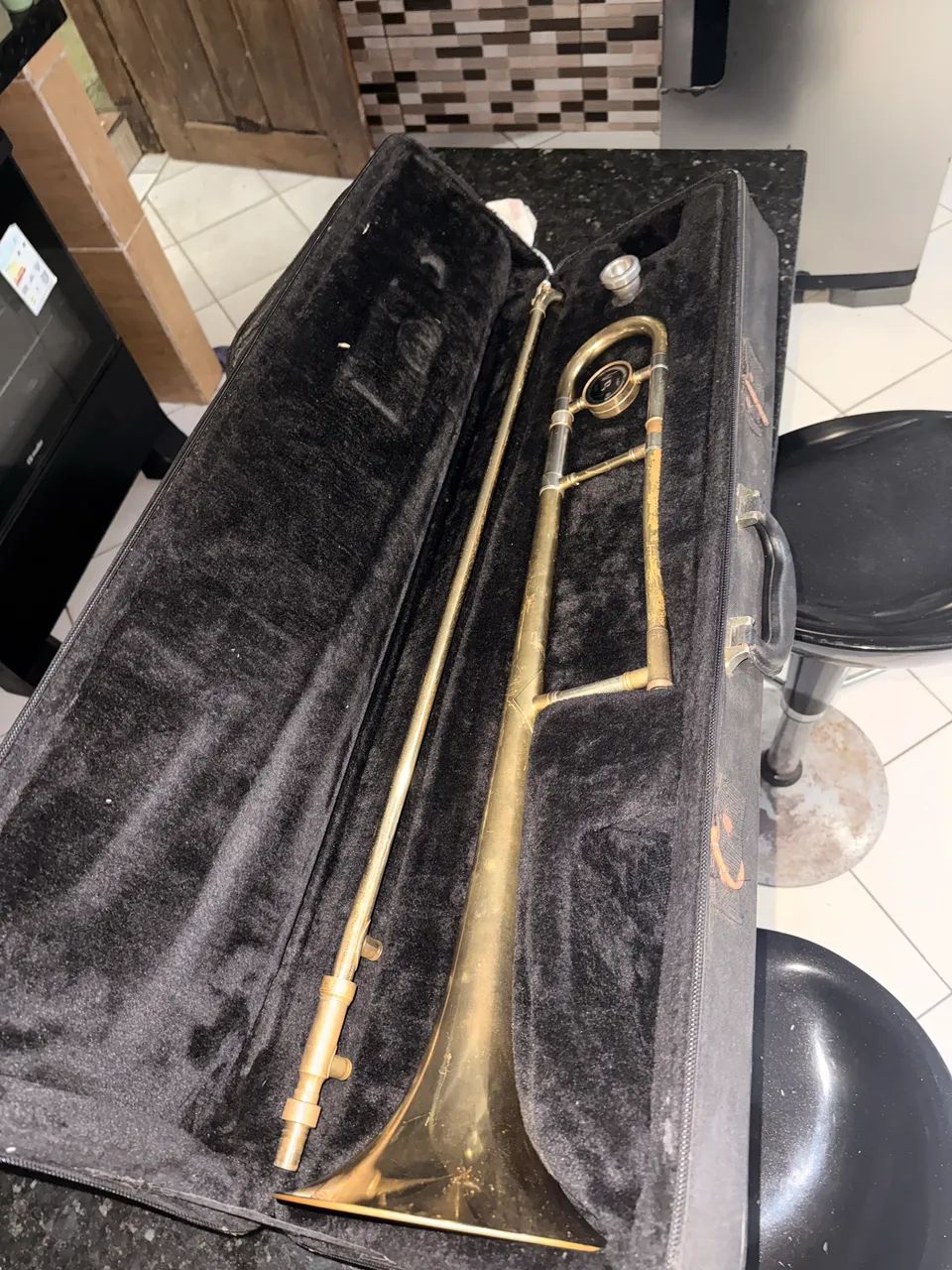Trombone Doplhin + case 