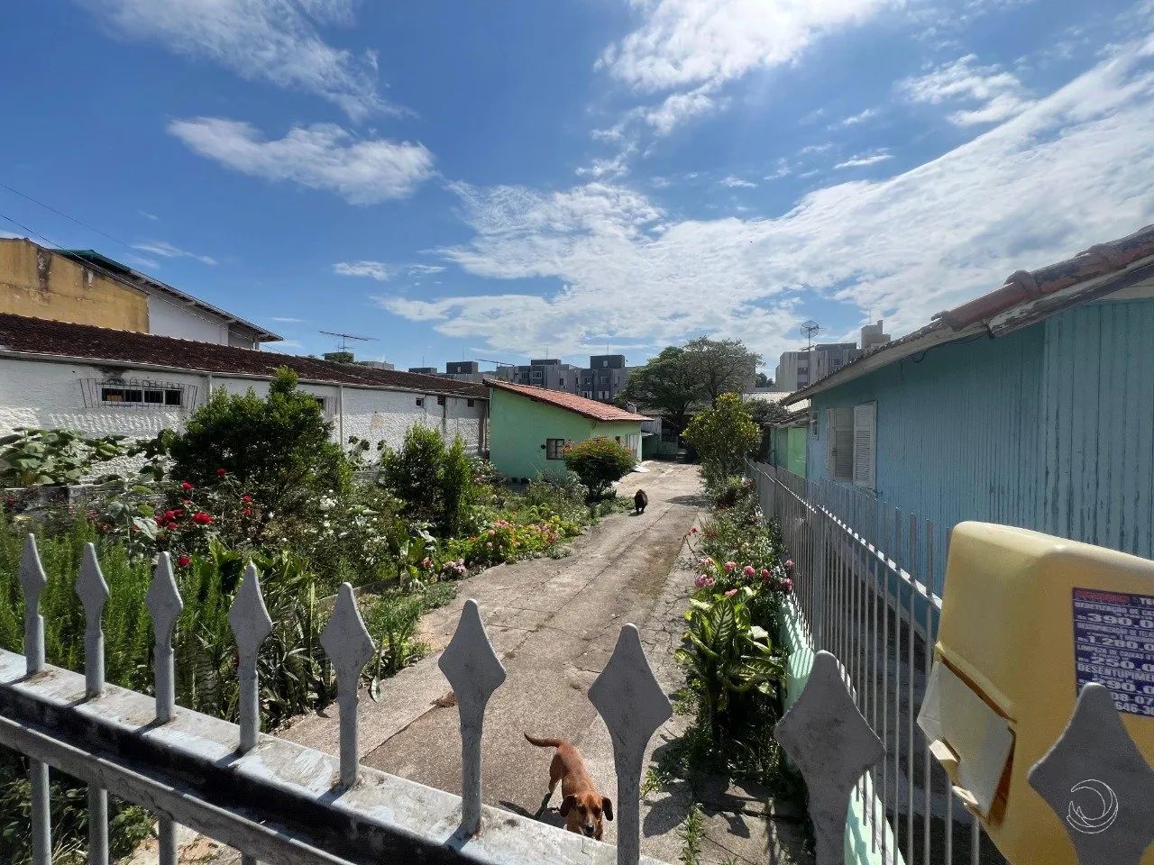 Terreno com 625m² no Estreito - Foto 4