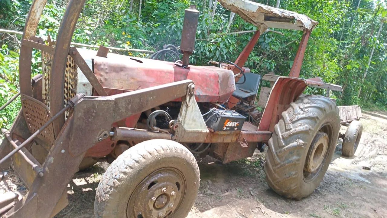 MASSEY FERGUSON 295
