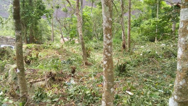 Lindo Terreno plano Àrea nobre do Vale dos Esquilos - Foto 19