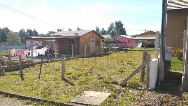 Terreno em canela, bairro vista do vale, 250 m² - Foto 3