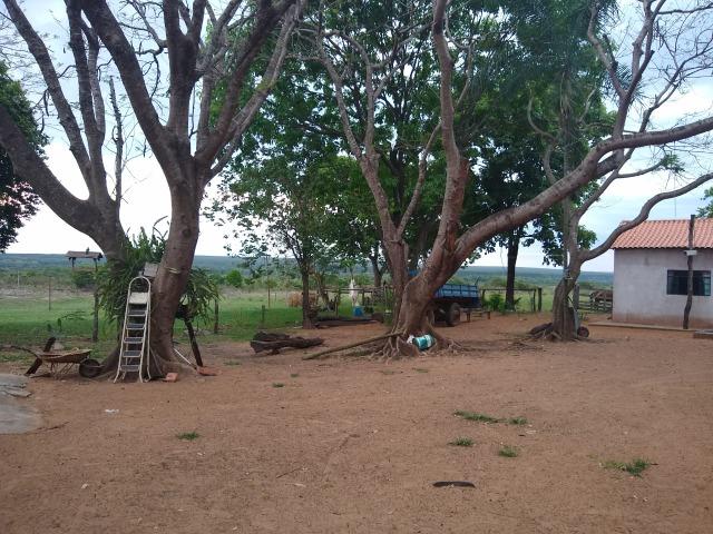Fazenda a Venda - Foto 4