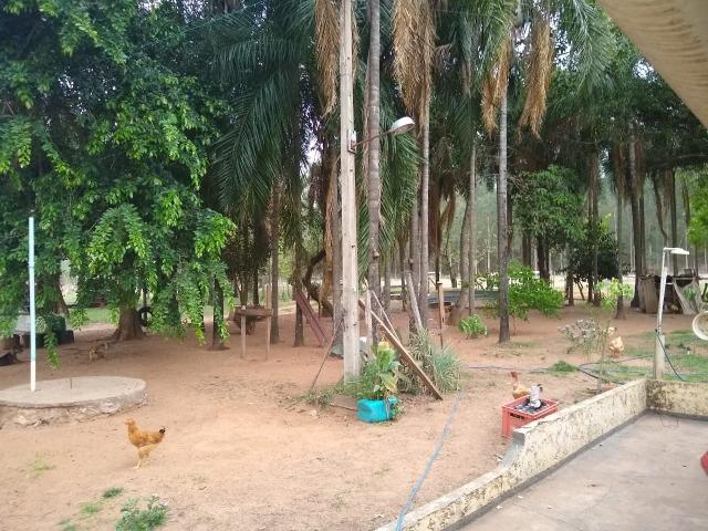 Fazenda a Venda - Foto 9