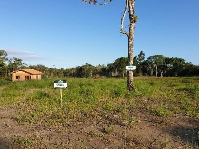 1420 Chácara no Bairro Pinheiros - Foto 4