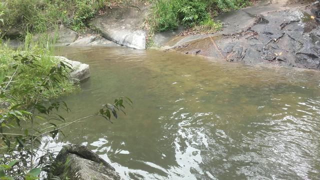 Linda Fazenda em Joaquim Gomes 60 hectares apenas 750 mil - Foto 20