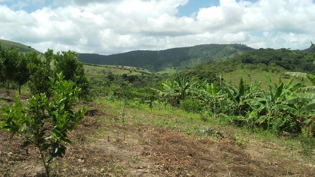Sítio dos sonhos seu pedaço do Paraíso com 7 hectares por 150 mil - Foto 13