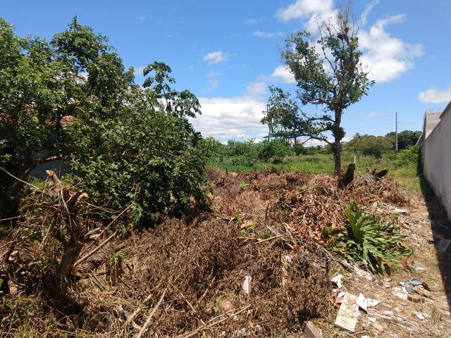 Terreno Próximo ao Porto de Itapoá - Foto 7