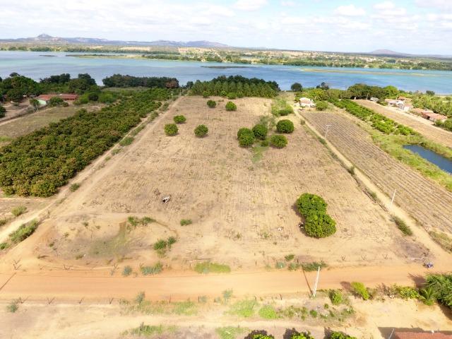 Fazenda 50 Hectares beira de rio Sâo Francisco - Venda - Foto 11