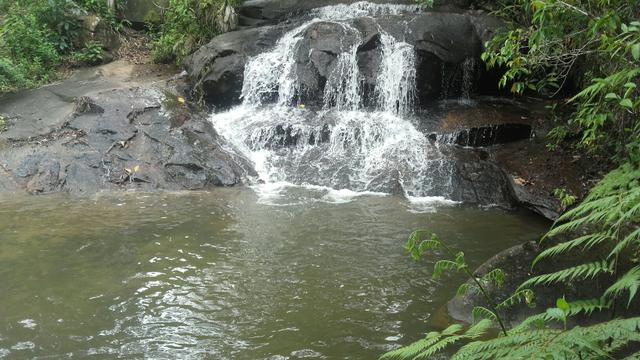 Linda Fazenda em Joaquim Gomes 60 hectares apenas 750 mil - Foto 15