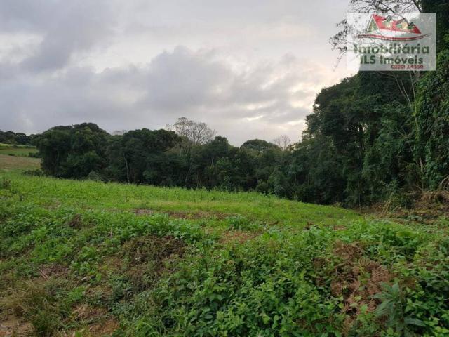 Chácara serrinha - Foto 3