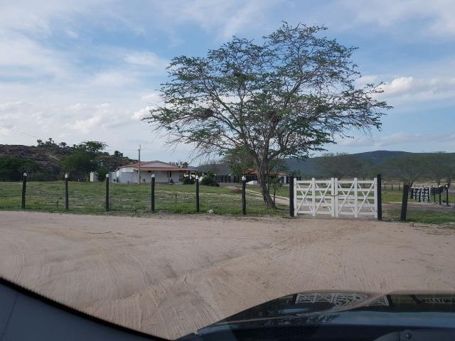 Fazenda de 791 tarefas, com sede nova e curral de ripão coberto com embarcador e balança - Foto 5