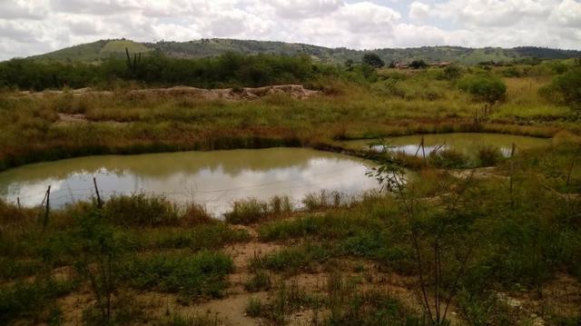 Propriedade de 7 hectares, escriturada, em Dois Leões-PE! - Foto 6
