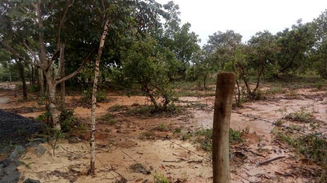 Lote em Cachoeira do Choro - Foto 4
