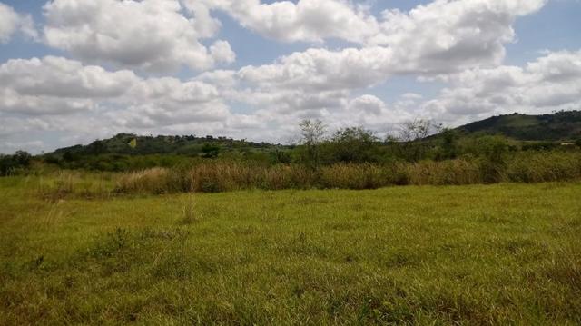 Propriedade de 7 hectares, escriturada, em Dois Leões-PE! - Foto 8