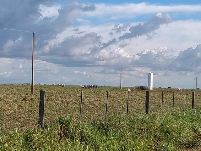 2.253 Há. Alto Garças-MT (Plana ao Lado Lavoura) - Foto 14