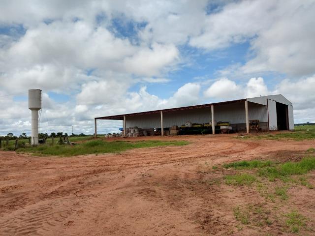 2.400 Há em Lavoura. S.J Xingu-MT - Foto 11