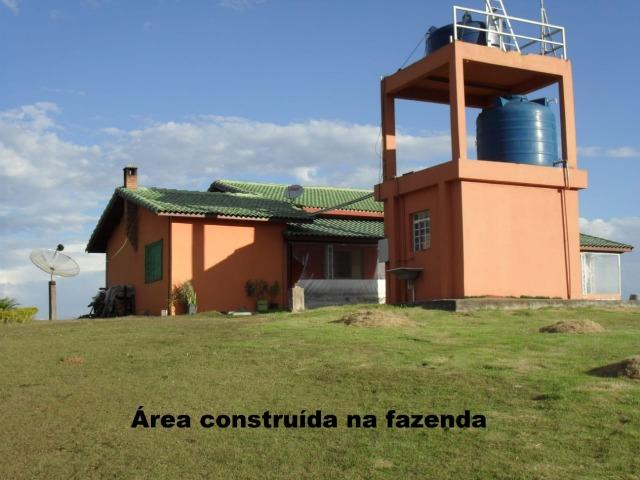 Fazenda com tudo (Casas, lagos, heliporto etc) - Foto 6