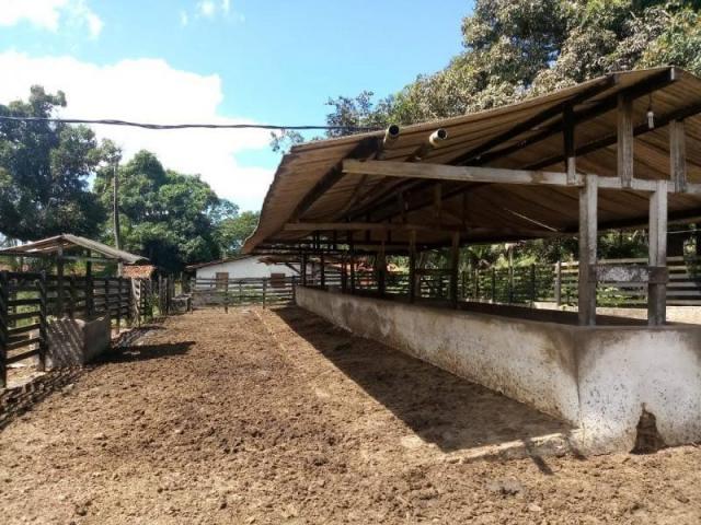 Fazenda para venda em paudalho, guadalajara - Foto 12