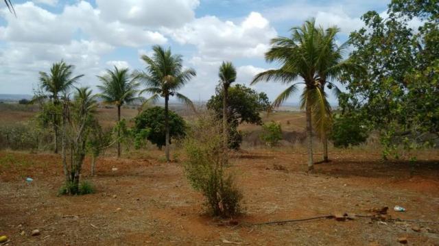 Sítio para venda em lagoa do itaenga, lagoa de itaenga - Foto 2