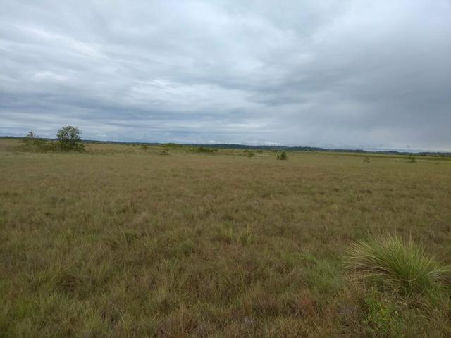 Terras Para soja em Roraima