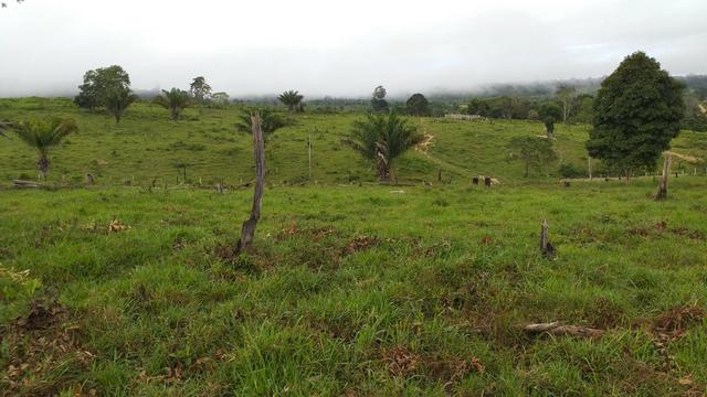 Fazenda - Foto 19