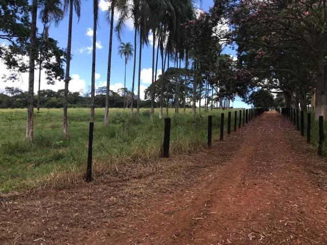 Fazenda - Foto 11