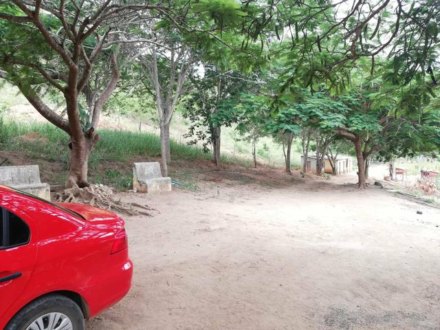 Oportunidade Fazenda de 175 hec por 430 mil - Foto 4