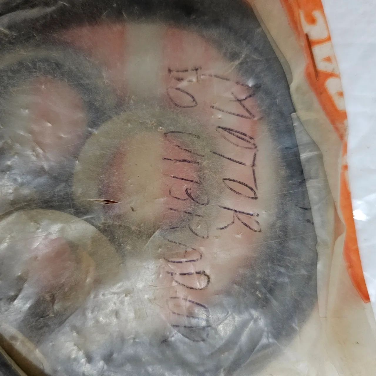 Dynapac reparo motor vibrador 924563 novo original  - Foto 5