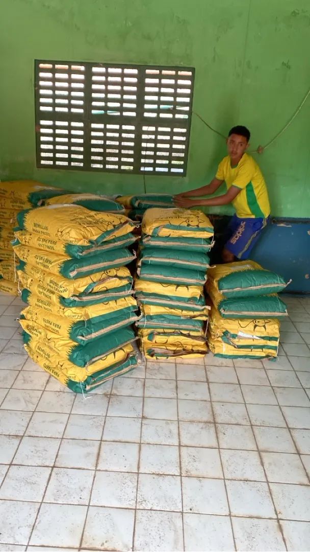 Sementes para Pastagem - garantia de germinação - sacos de 15 quilos - Foto 3