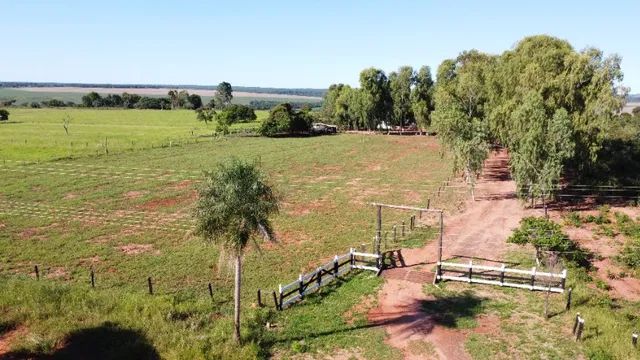 Chácara 28 Hectares com córrego, em Jaraguari-MS! - Foto 2