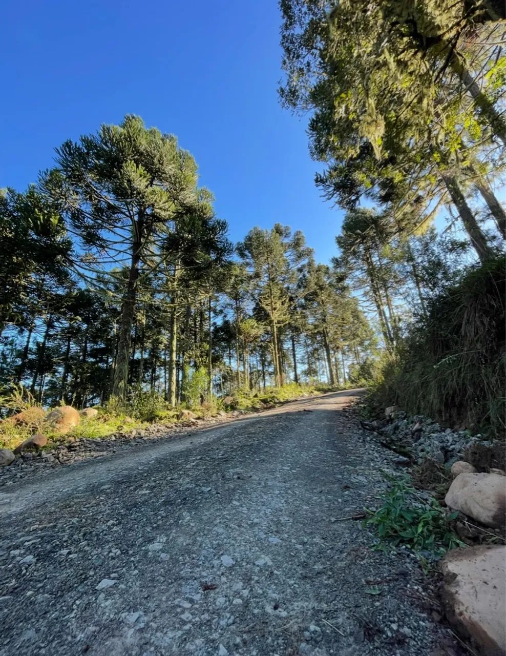 Áreas em Urubici parc 60X 6km do centro - Foto 5