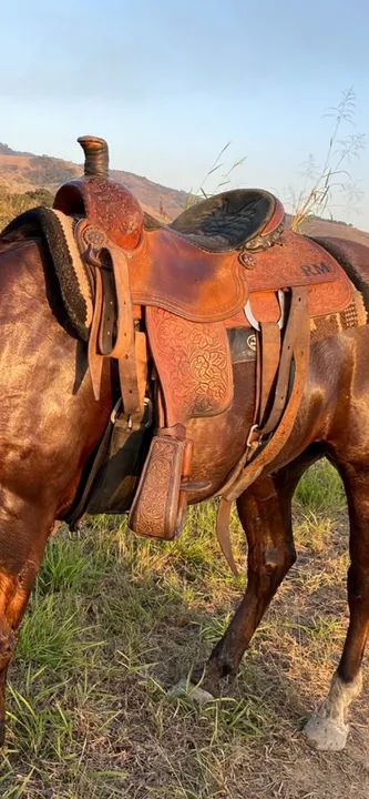 Sela de laço  - Foto 3