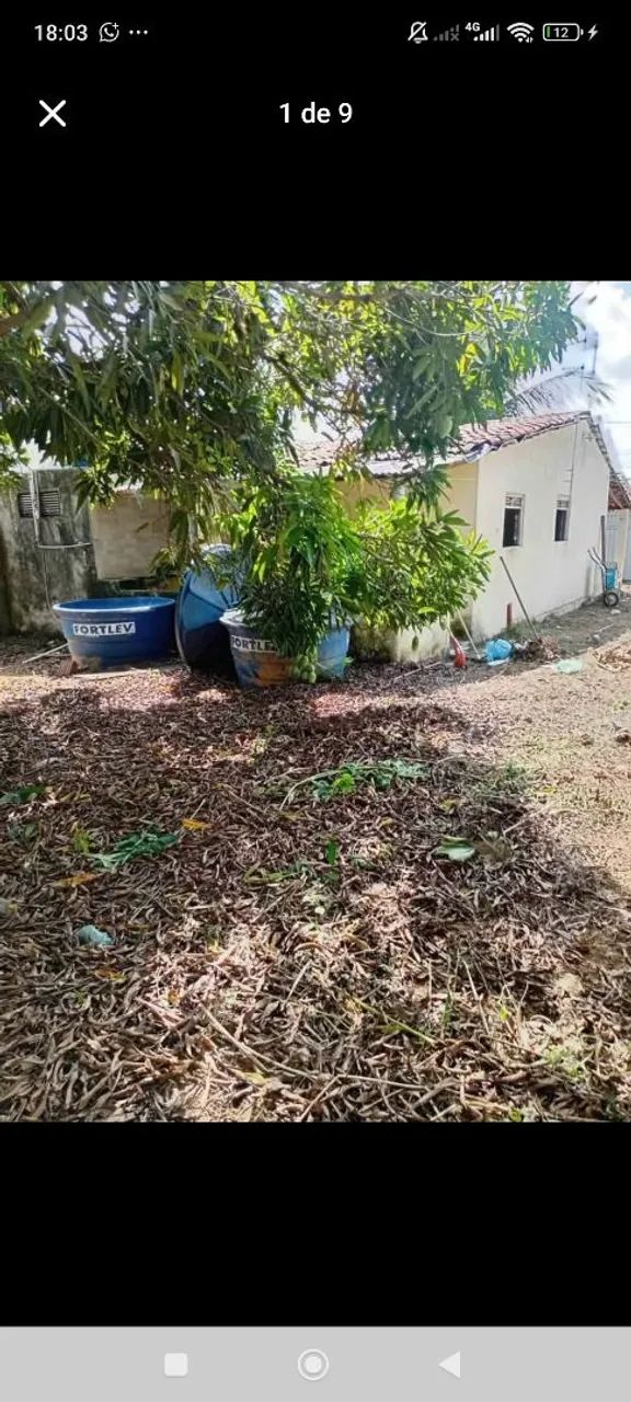 Foto - Simões Filho - Palmares