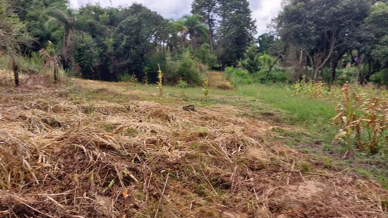 TERRENO JARDIM CANANÉIA 1.439,00 M2 - Foto 8