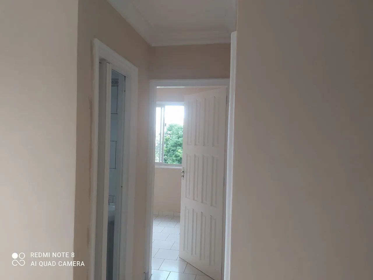 Predeiro,e Pinto profissional ser precisa 
