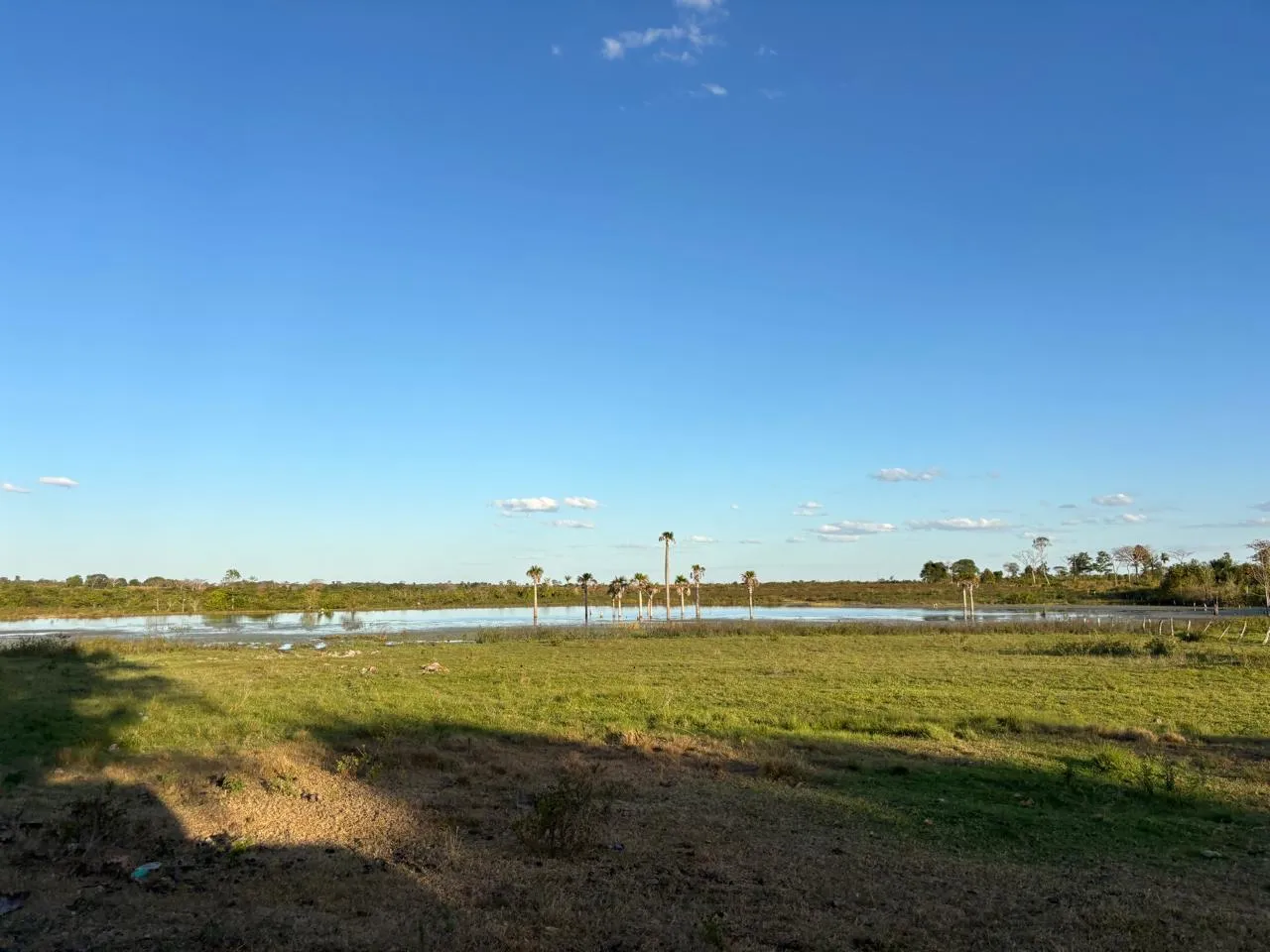 Fazenda próximo a redenção 