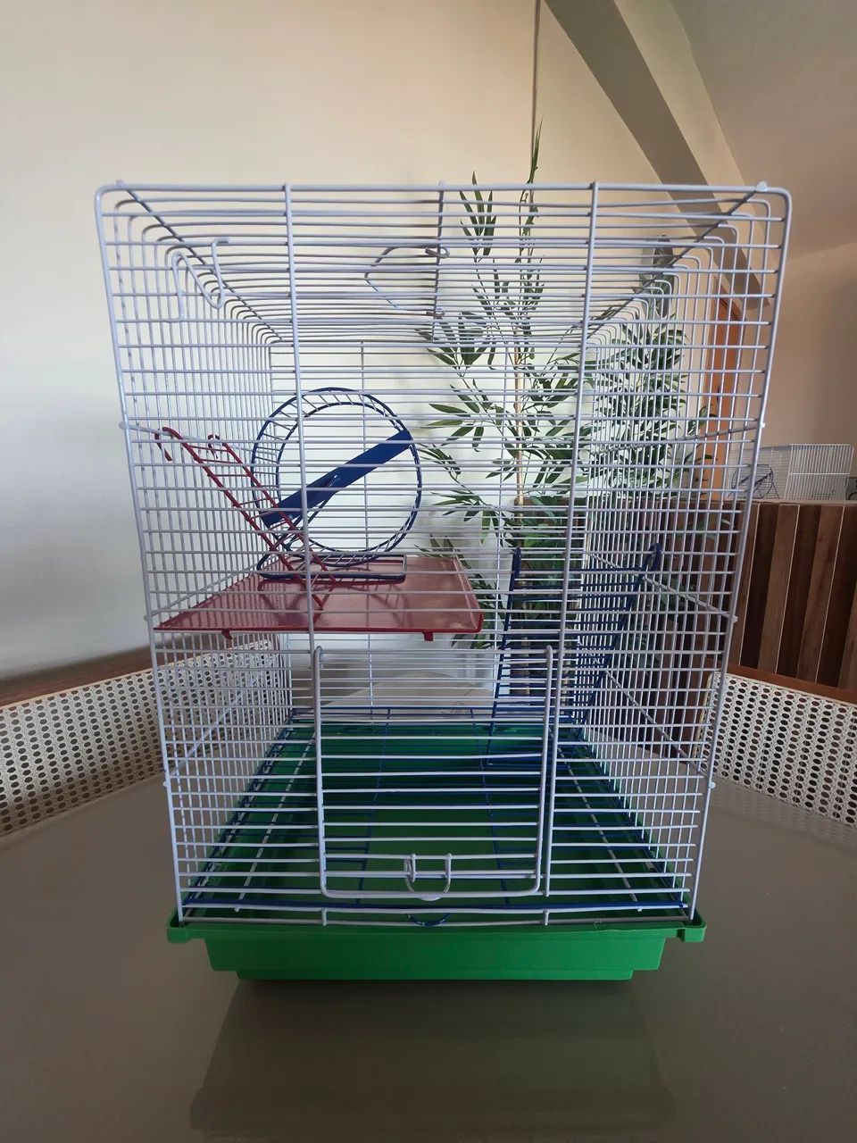 Casinhas para aves  - Foto 3