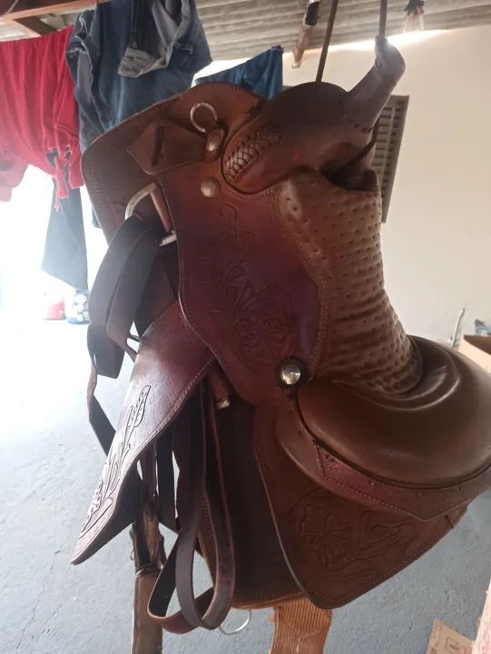 Cela pra cavalo  - Foto 3