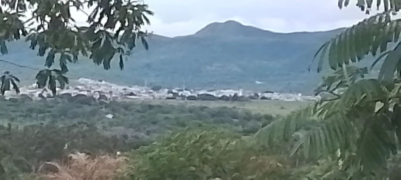 Vendo potro pampa de preto - Foto 4