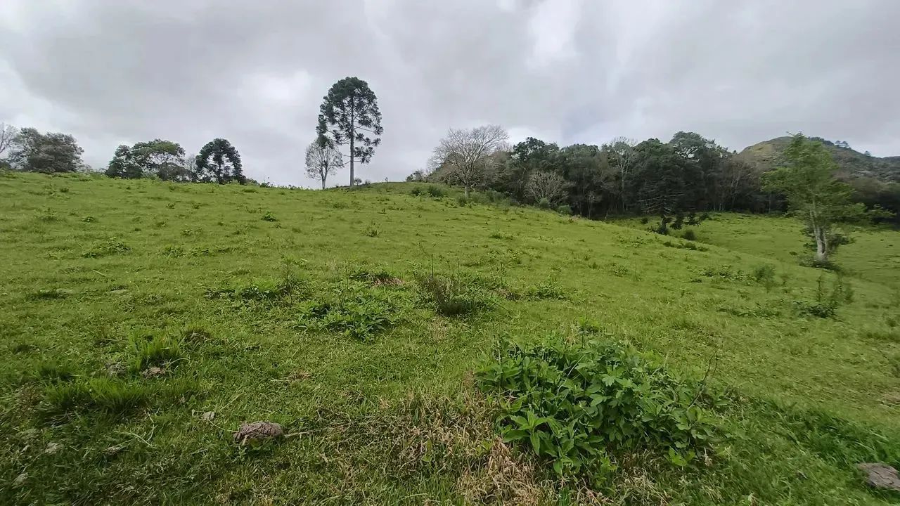 Fazenda/Sítio/Chácara para venda possui 20000 metros quadrados em Pedra Branca - Alfredo W - Foto 3