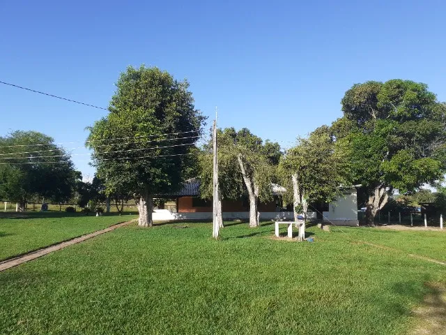 Fazenda Beira do asfalto meia hora de Campo Grande com nascente de água