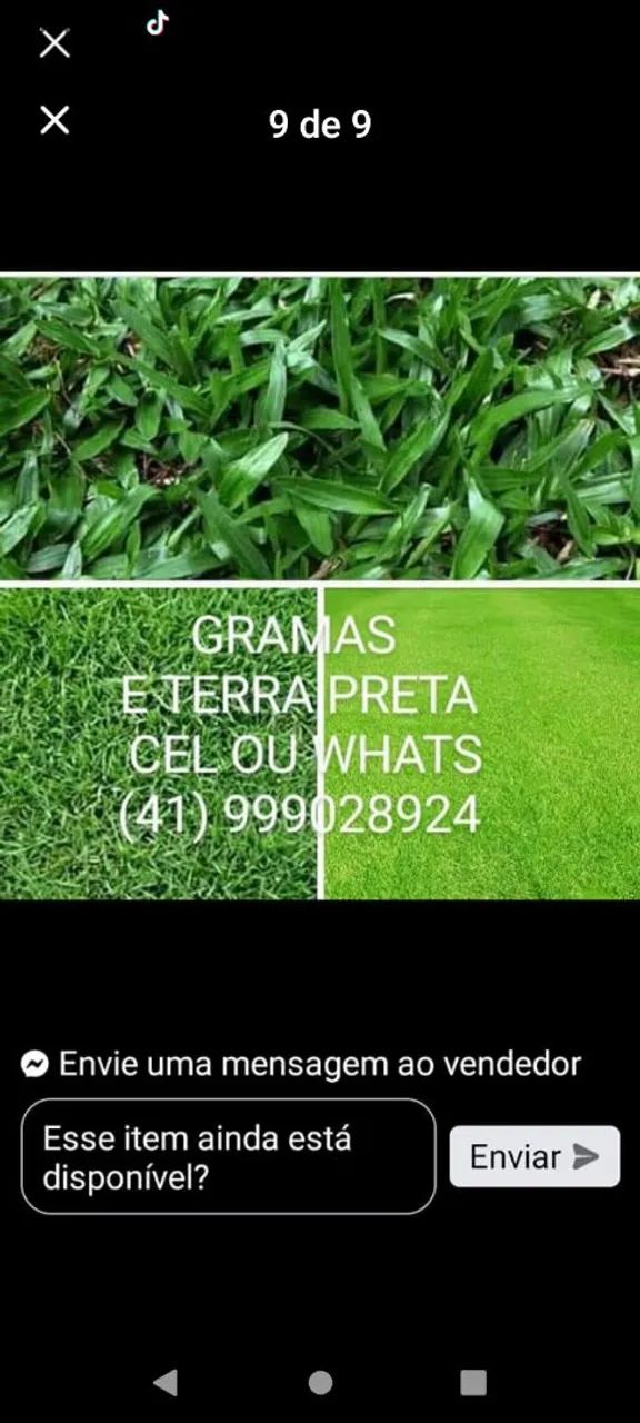 Gramas terra preta  - Foto 2
